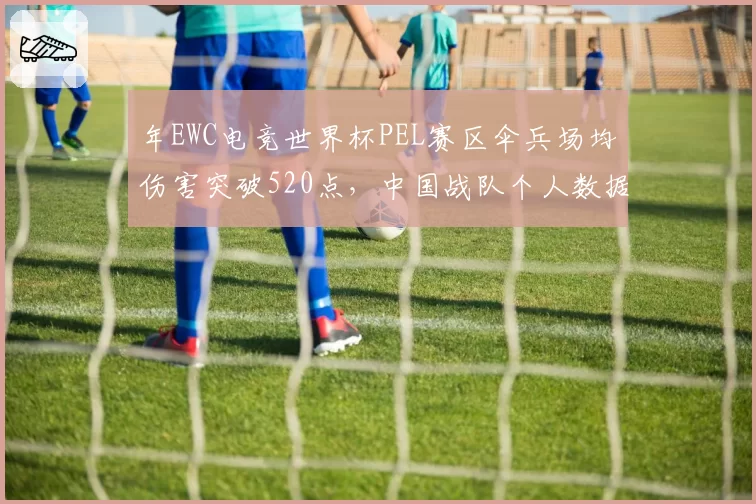 年EWC电竞世界杯PEL赛区伞兵场均伤害突破520点，中国战队个人数据领跑全球