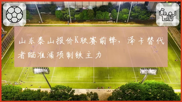 山东泰山报价K联赛前锋，泽卡替代者瞄准浦项制铁主力