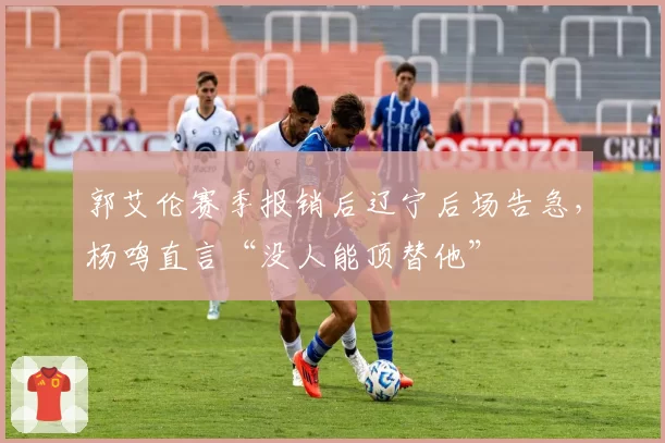 郭艾伦赛季报销后辽宁后场告急，杨鸣直言“没人能顶替他”